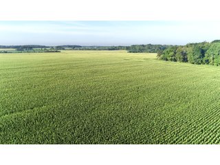 Tillable & Wooded Farmland in Allen County, Indiana - LAND AUCTION - 184+/- ACRES OFFERED IN 3 TRACTS IN ALLEN COUNTY, INDIANA